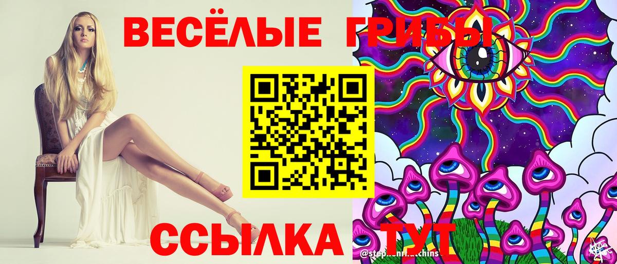 Псилоцибиновые грибы Psilocybe  Вход с VPN  Сатка 