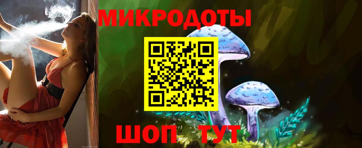 Галлюциногенные грибы Psilocybine cubensis Сатка
